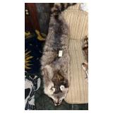 Raccoon Pelt