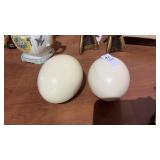 Hollowed Ostrich Egg Shells