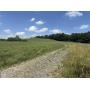 Somerset County Land Tract ..48 Acres Online