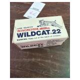 Winchester 22 Shells