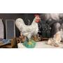 Lawn & Garden, Tools, Household & More Online Auction