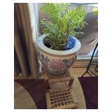 Live plant in vase and on stools