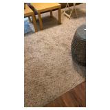 Shag area bound rug 13 x 10