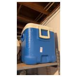 Cooler