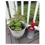 Live plant, bird feeder and watering can