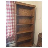 Tall bookcase cabinet with adjustable shelves