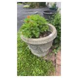 Heavy Cement Flower Pot