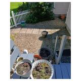 All planters in backyard