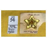 Lucite star brooch w/ Alaskan garnet Igloo