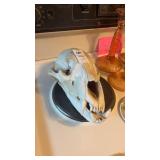 Vintage Bear Skull