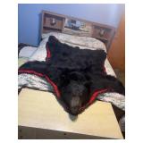 Bear Skin Rug 70 in (Nose to Tail) by 30 in