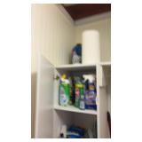 Cabinet of Cleaners