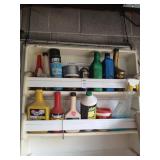 2 shelves of auto chemicals