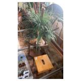 Plant Stand and Bench