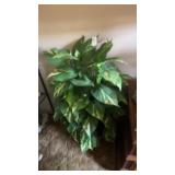 Faux Plant