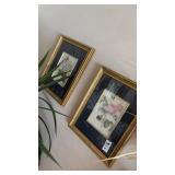 2 matching framed vintage botanical flower