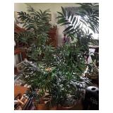 Artificial 5ft potted palm trees