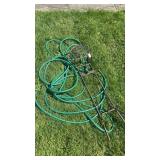 Garden Hose Stand and Hose