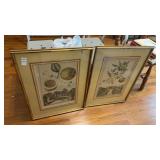Set of Framed Art Pieces
