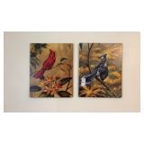 Blue bird and Cardinal Pictures