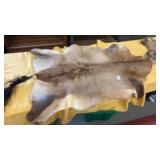 Tanned Animal Hide