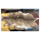 Tanned Whitetail Deer Hide