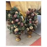 Set of 2 fruit trees 2ft
