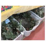 Lot of 9ft lighted garland no totes