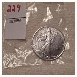 1991 Walking Liberty US Eagle Silver Dollar Coin