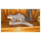 Taxidermy Squirrel on a Log