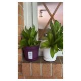 2 plastic mini planters