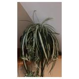 Faux Plant