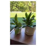 1 plastic and 1 ceramic planters