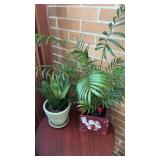 1 ceramic planter with 1 Christmas themed planter