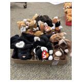 Lot of 14 cat beanie babies