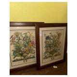 Vintage framed botanical print from Robert