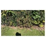 Daffy Duck wire decoration 4x2ft