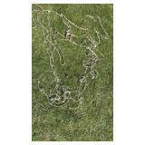 Horse light up wire decoration with flower, 5x3ft