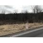78 acres in Conemaugh Township Hollsopple PA