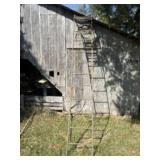 Large Tree Stand 12
