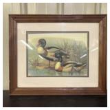 "Ruddy Duck" By Reid Kolman Framed Print 23"