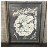 Framed Print Of Ernst Haeckel