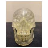 Dental Phantom Skull - 4"x8"x7"