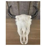 Cattle Skull 22"X24"