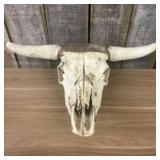 Cattle Skull 24"X18"