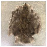 Beaver Pelt 18"X26"