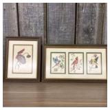 Pair Of Vintage Framed Bird Prints By Ray Harm And