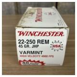 Winchester 22-250 Rem .45 GR JHP Varmint High Velo