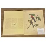 'Scarlet Tanager' By Ray Harm 17'X20'