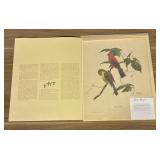 "Scarlet Tanager" By Ray Harm 17"X20"